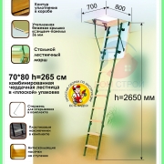 Лестница комбинированная чердачная Econ ЧЛ-6 70*80/265